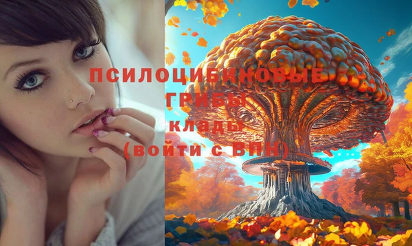 герыч Усмань