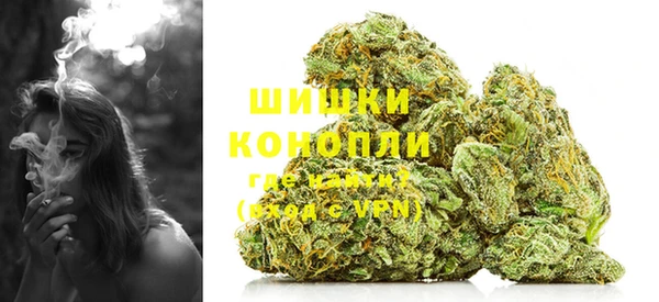 прущий лед Вяземский