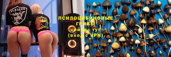 гашик Тихорецк