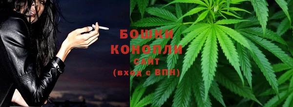 прущий лед Вяземский