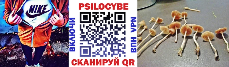 Псилоцибиновые грибы Psilocybe Петухово